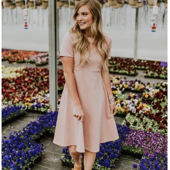 Roolee Dresses & Skirts - Roolee Fitted Dress